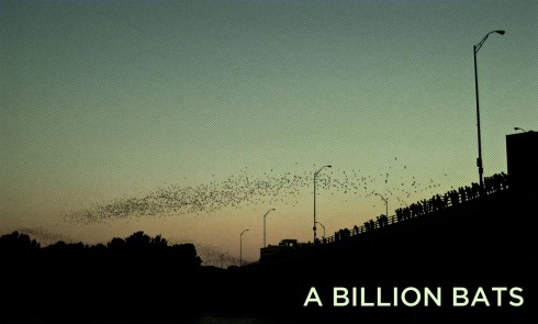 Austin Bats